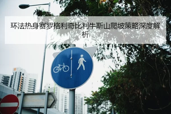 环法热身赛罗格利奇比利牛斯山爬坡策略深度解析
