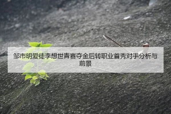 zou-shi-ming-ai-tu-li-xiang-shi-qing-sai-duo-jin-hou-zhuan-zhi-ye-shou-xiu-dui-shou-fen-xi-yu-qian-jing-2-490.jpg