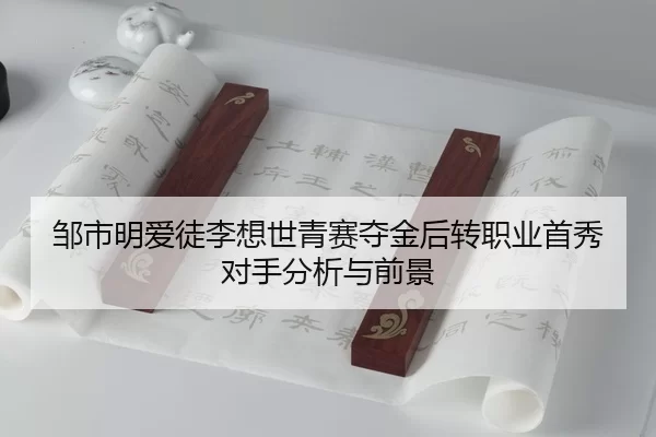 zou-shi-ming-ai-tu-li-xiang-shi-qing-sai-duo-jin-hou-zhuan-zhi-ye-shou-xiu-dui-shou-fen-xi-yu-qian-jing-3-438.jpg